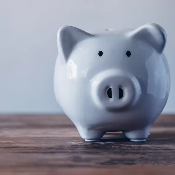 Piggie Bank